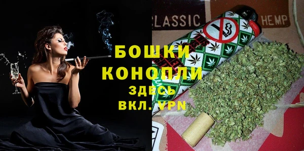 гидропоника Белокуриха