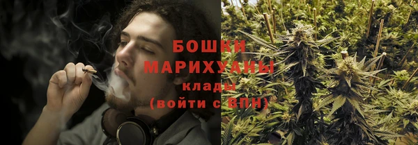 гидропоника Белокуриха