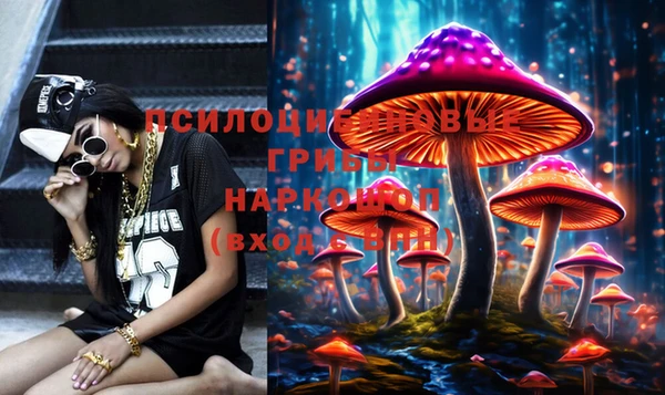 гидропоника Белокуриха