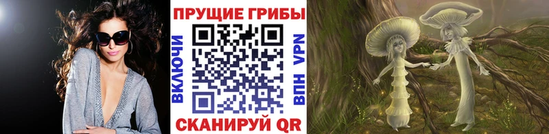 Псилоцибиновые грибы мицелий  кракен как зайти  Борисоглебск 